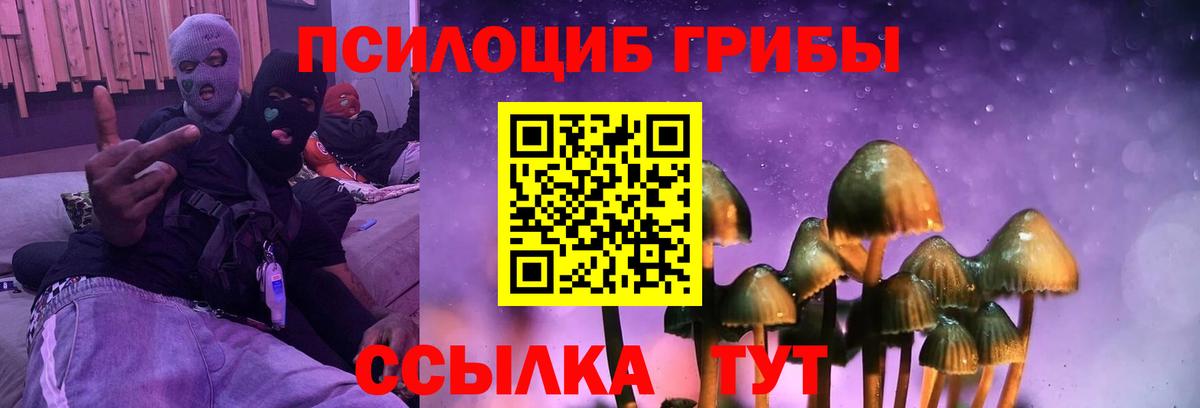 Галлюциногенные грибы ЛСД  Вход с VPN  Новосибирск  Галлюциногенные грибы прущие грибы 
